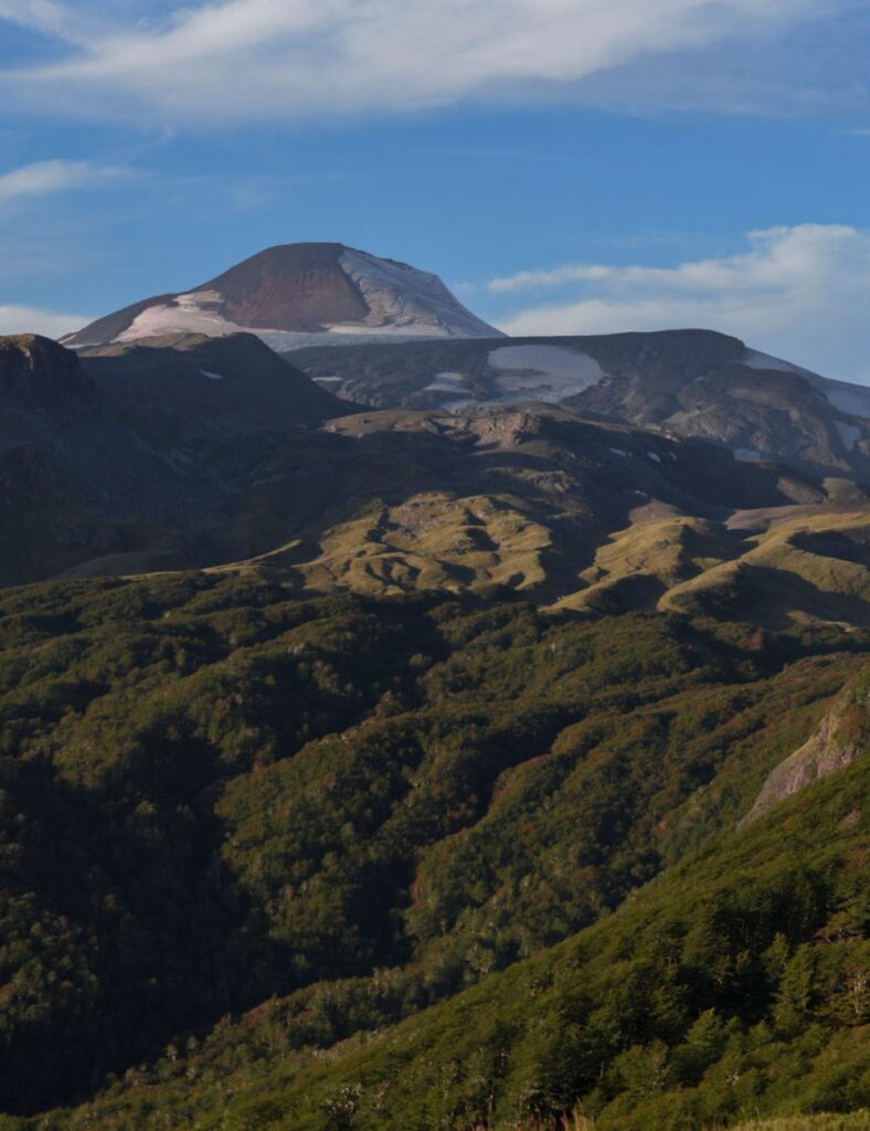 Reserva-Nacional-Mocho-Choshuenco-3-scaled-pfrkn1crtgr6o3jd9p9jkjd6zonb9wnwcbhuo79ya0